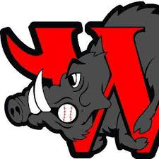 Webster Warthogs logo